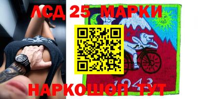 гидра Кингисепп