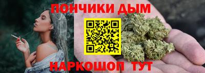 гидра Кингисепп