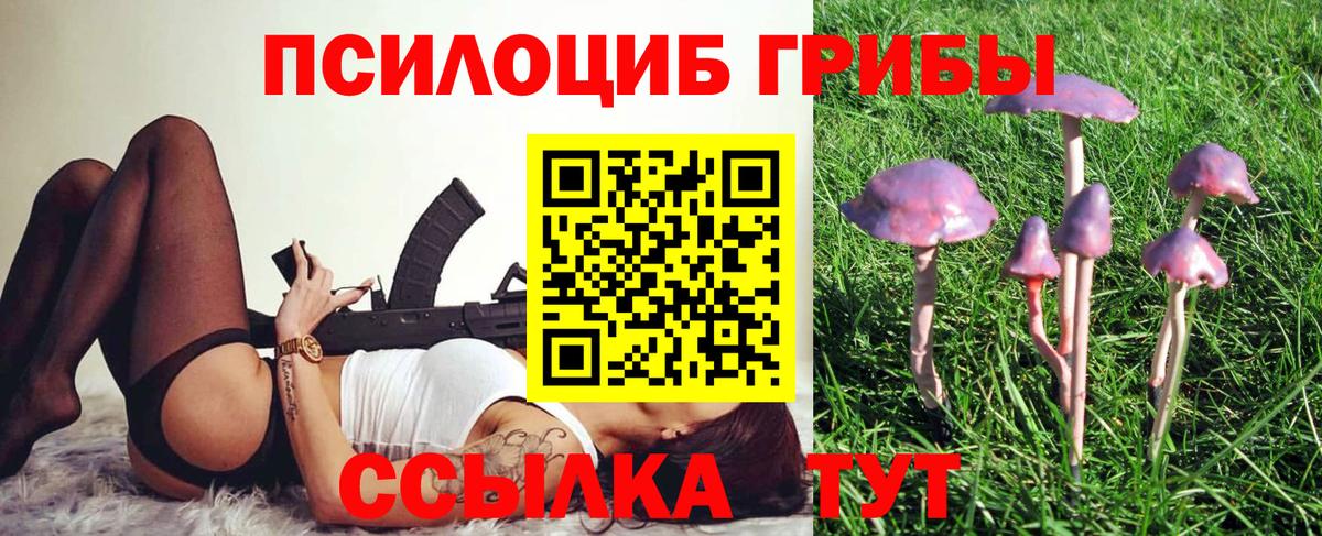 Когалым  Галлюциногенные грибы Cubensis  Вход с VPN 